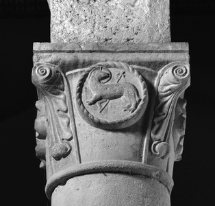 Kolonada, 4. stup južne arkature, kapitel