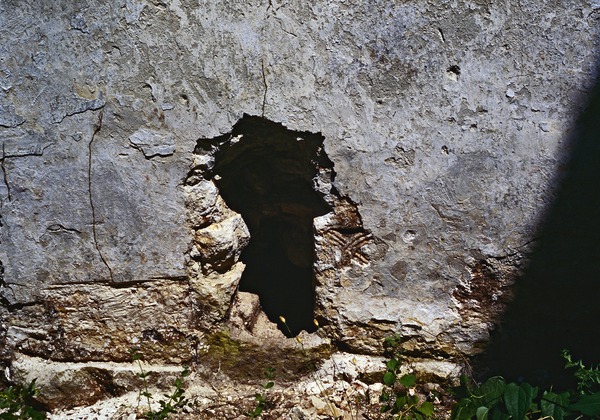 Crkva svetog Tome kraj Rovinja, nalaz ulomka pilastra u zazidu sjevernog luka